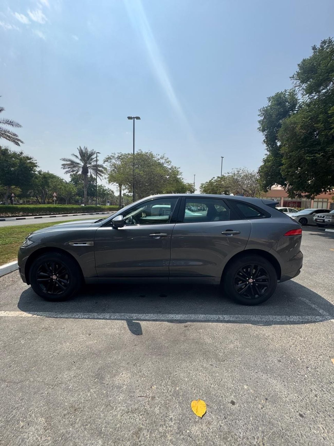 جاكوار F بيس آر سبورت R-SPORT