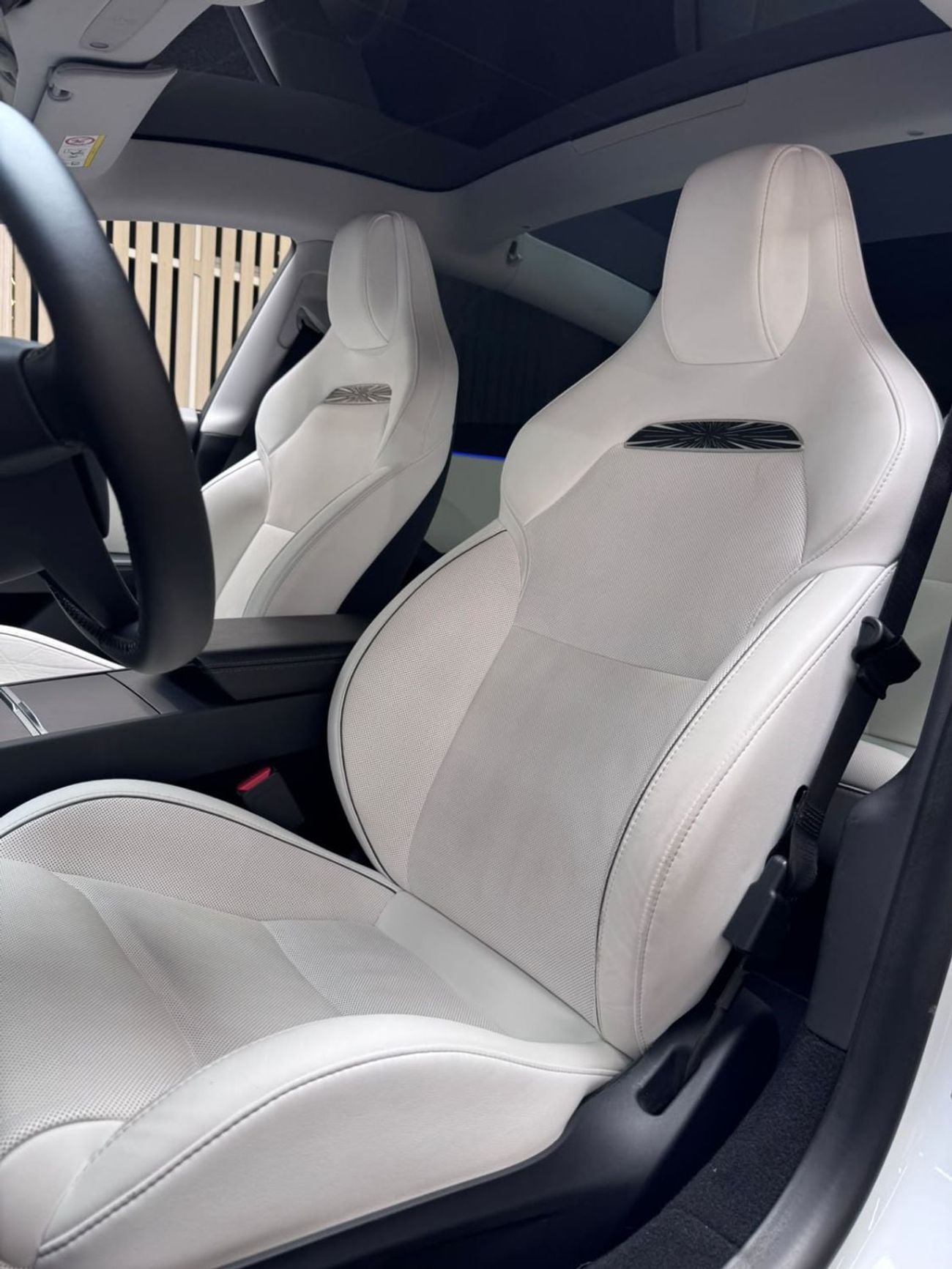 Tesla Model 3 PERFORMANCE
