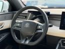 BYD QIN PLUS STANDARD DM-i 55KM LUXURY EDTION | 2025 |