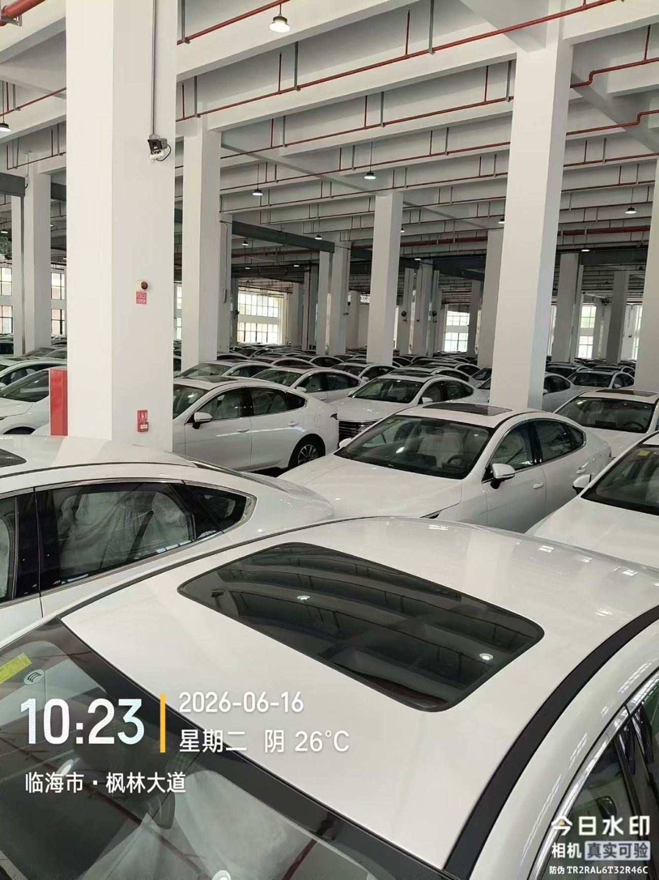 BYD Destroyer 05 STANDARD Luxury with sunroof