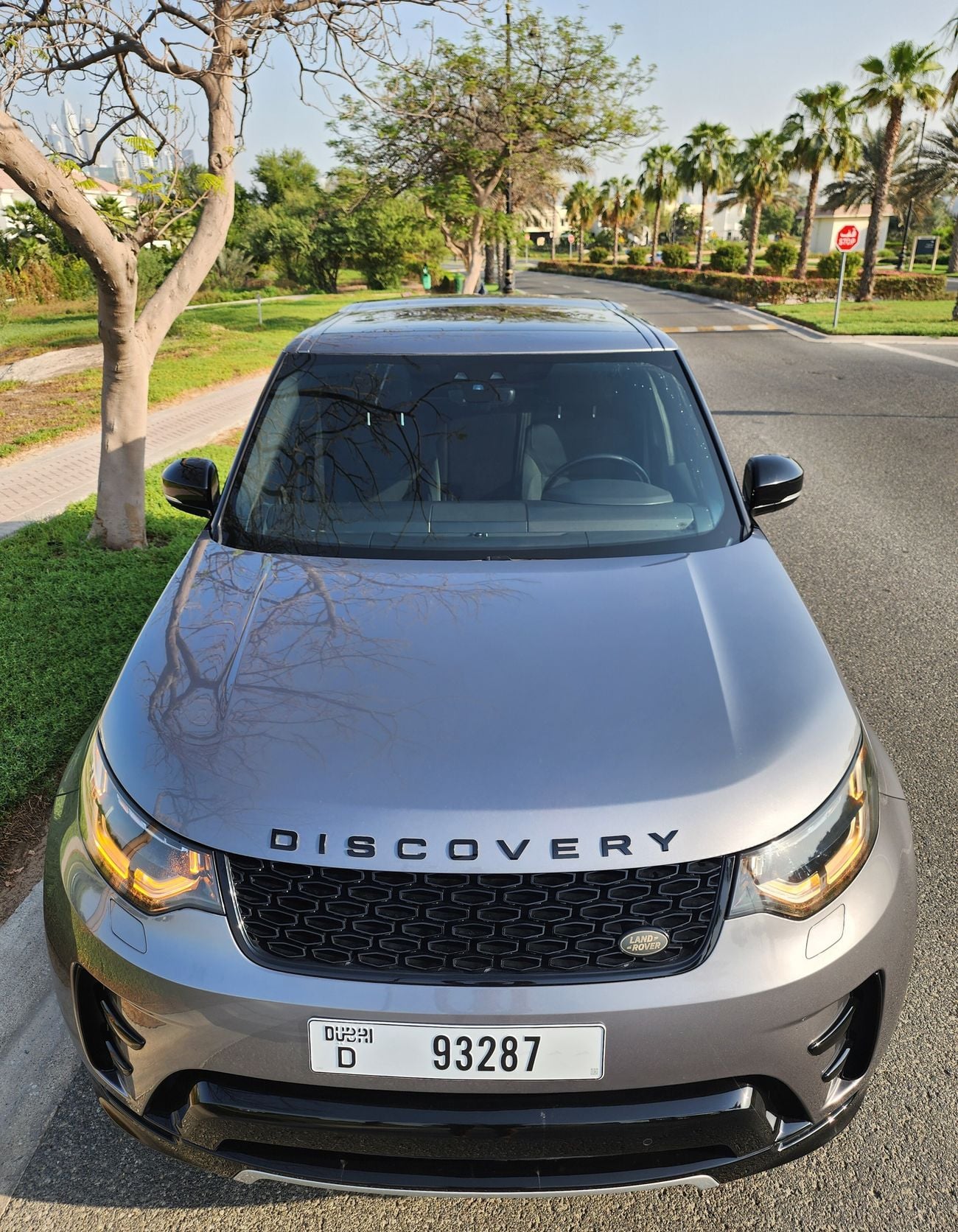 Land Rover Discovery Landmark
