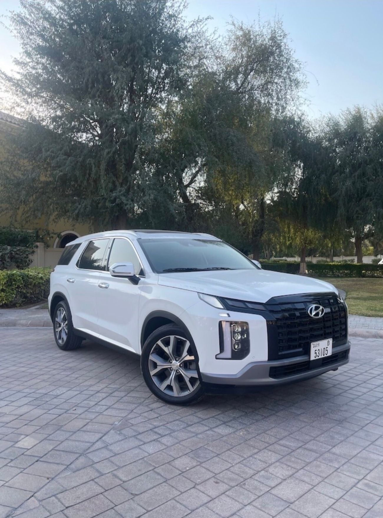 Hyundai Palisade PREMIUM NAPPA