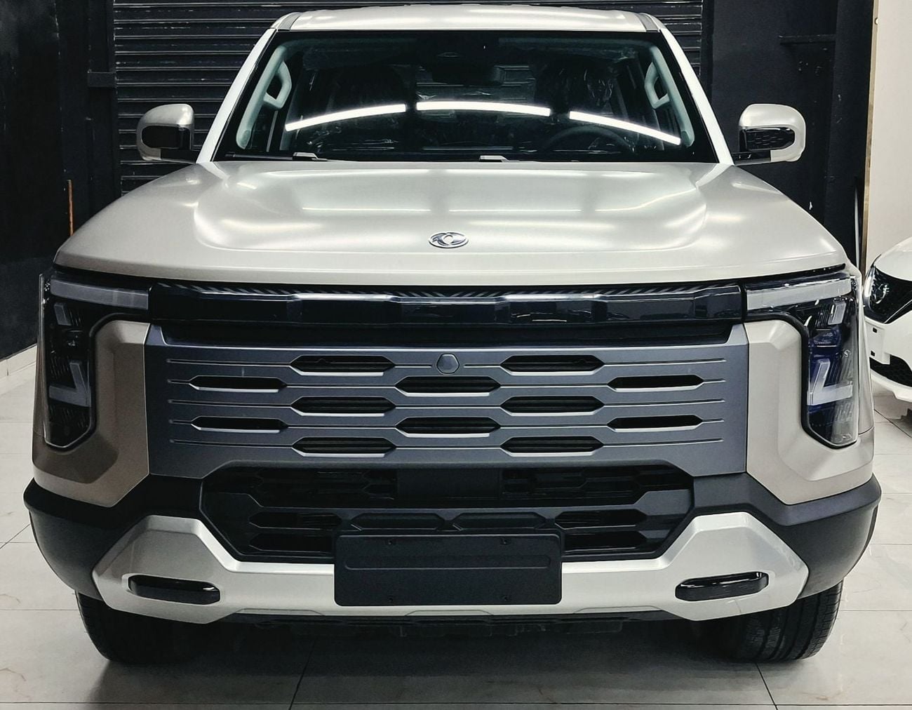 Dongfeng Z9 STANDARD