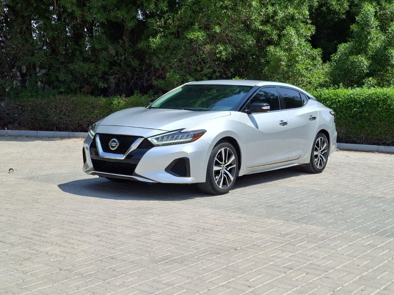 Nissan Maxima SL