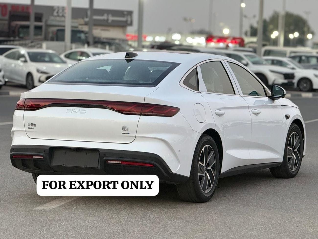 بي واي دي تشين L STANDARD ٢٠٢٥ | بي واي دي كين إل | هجين قابل للشحن | ديزل | ٨٠ كم