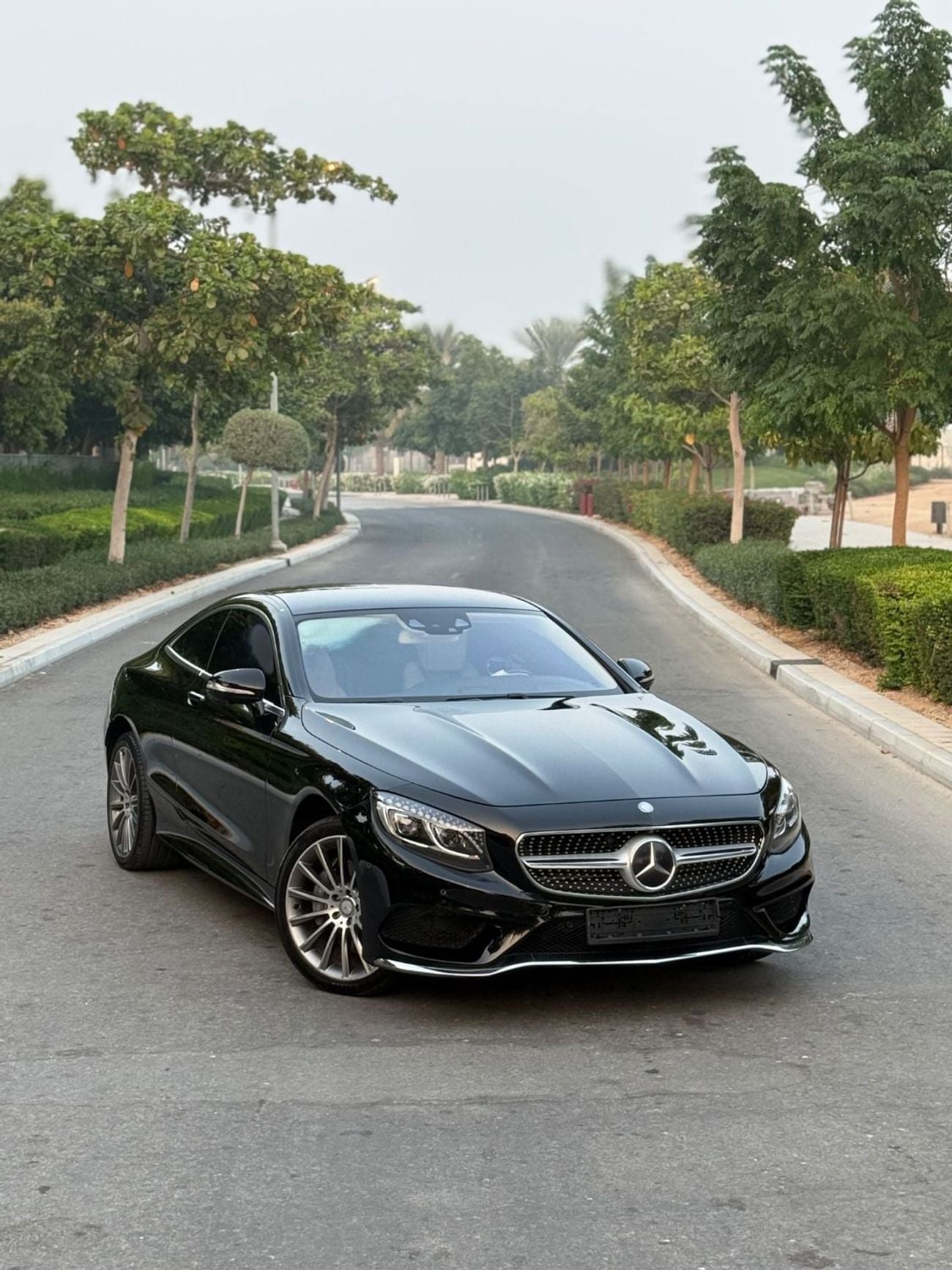 Mercedes Benz S550 STANDARD