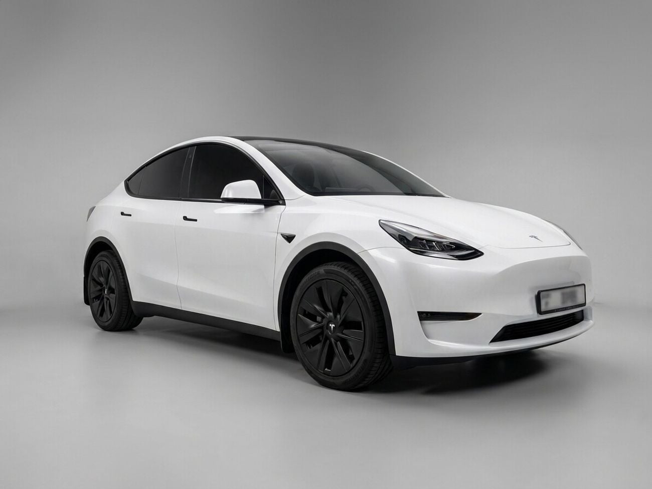 Tesla Model Y LONG RANGE