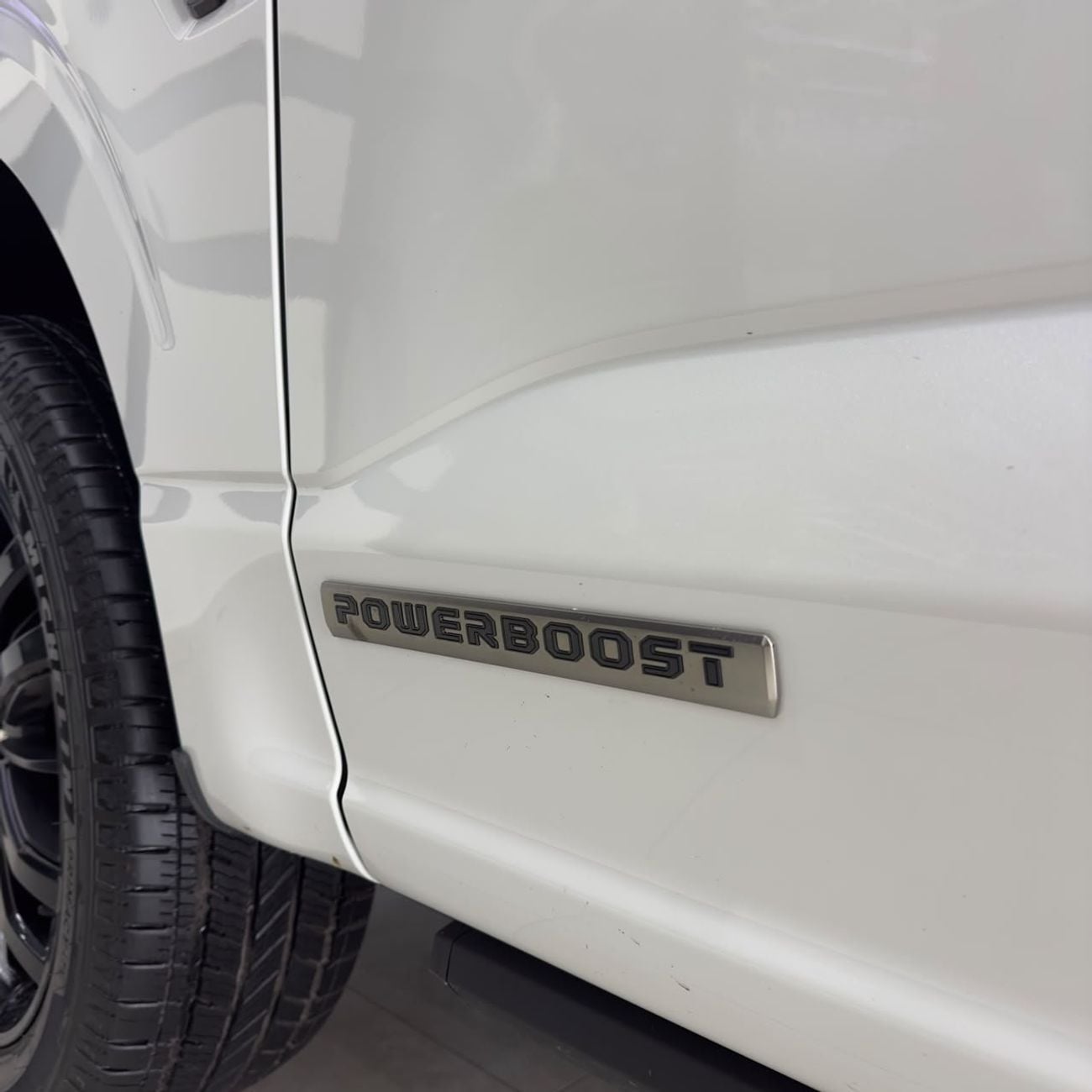 Ford F-150 PLATINUM CREW CAB