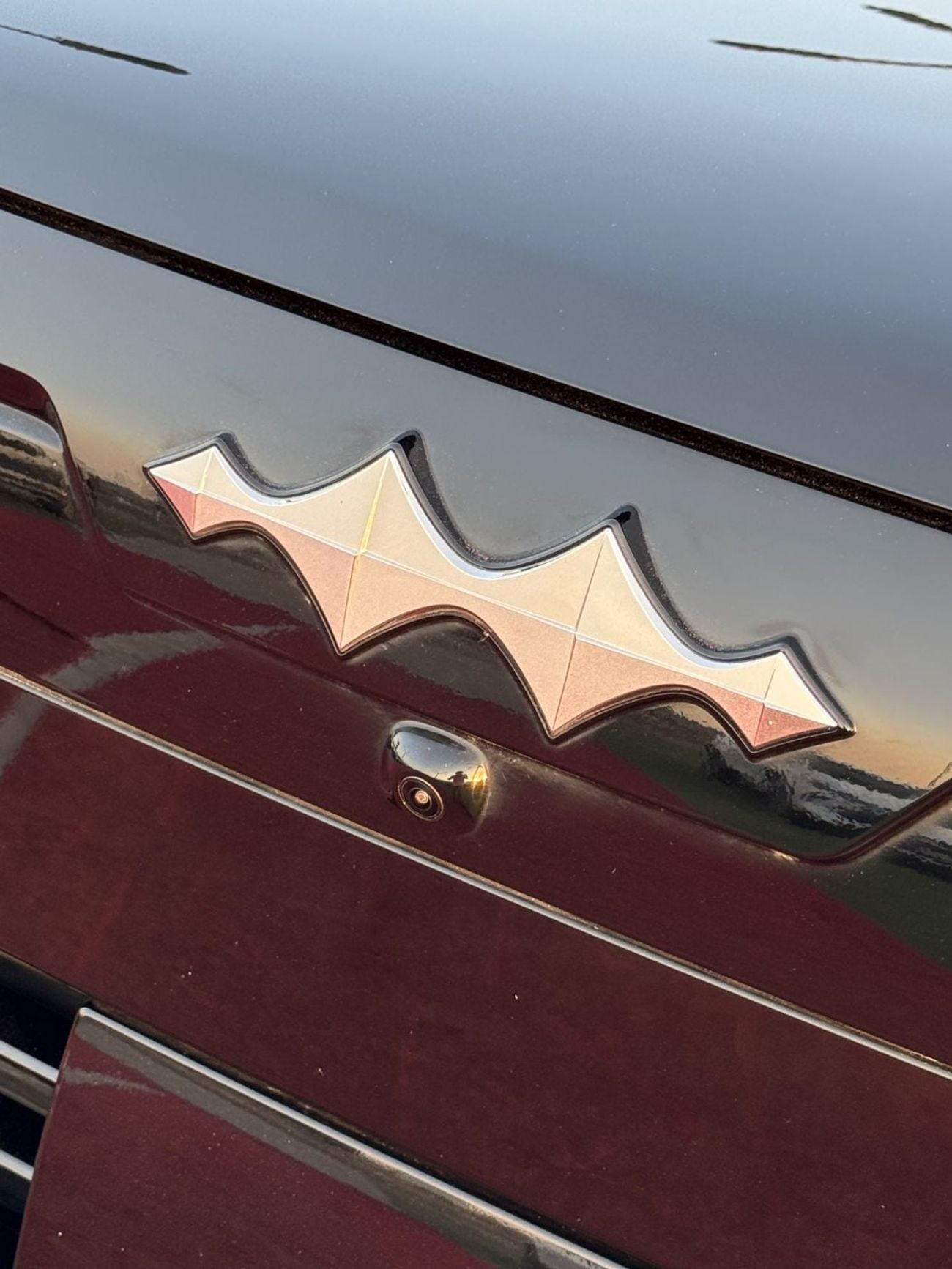 BYD Leopard 7