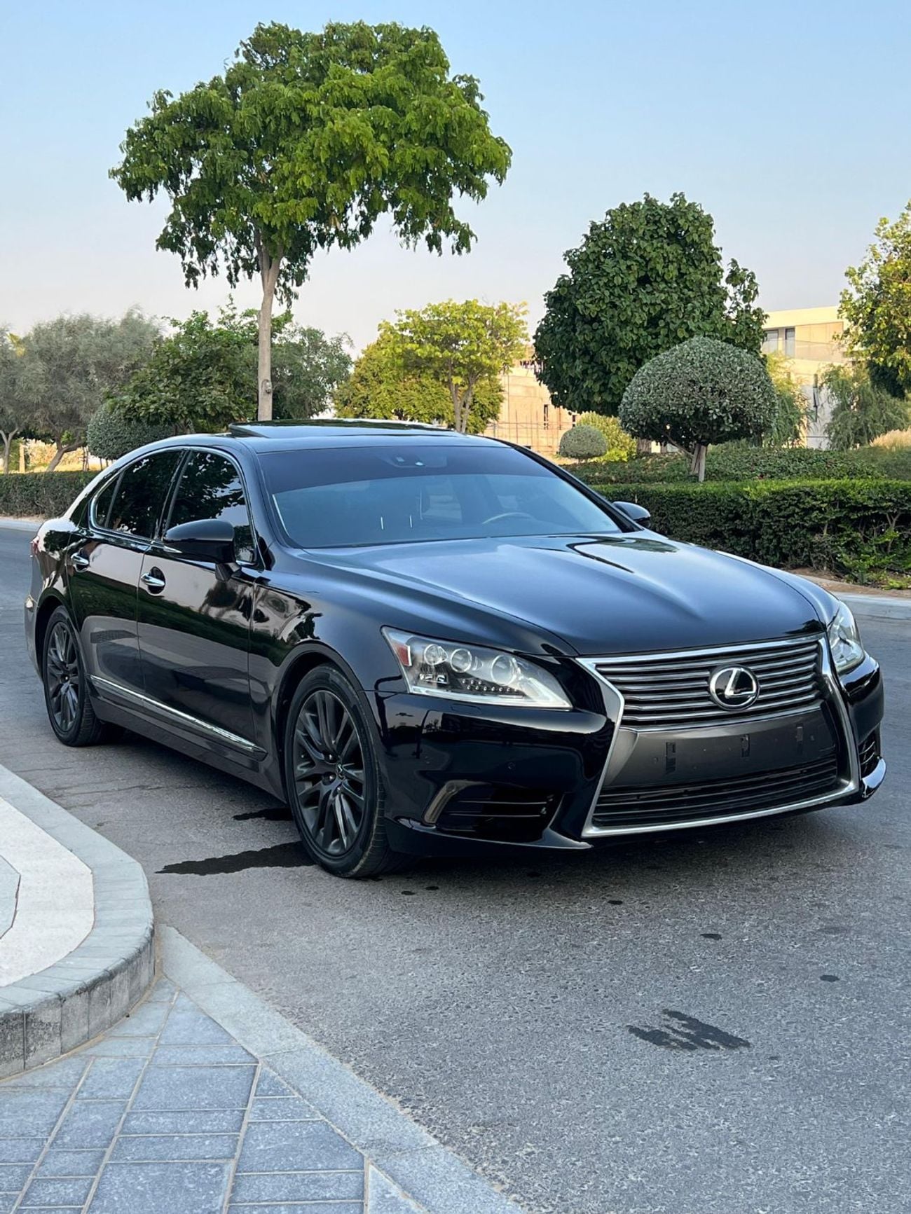 Lexus LS460 LUXURY