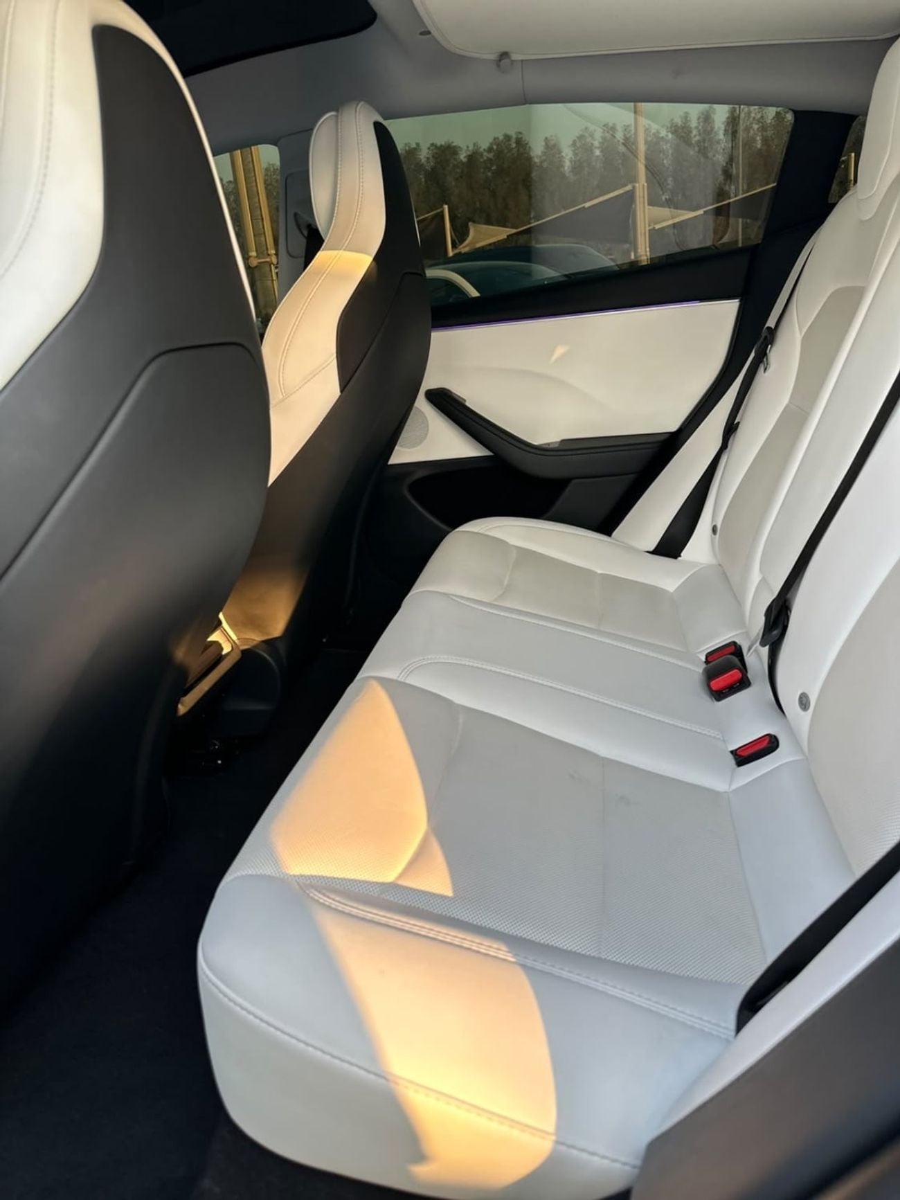 Tesla Model 3 PERFORMANCE