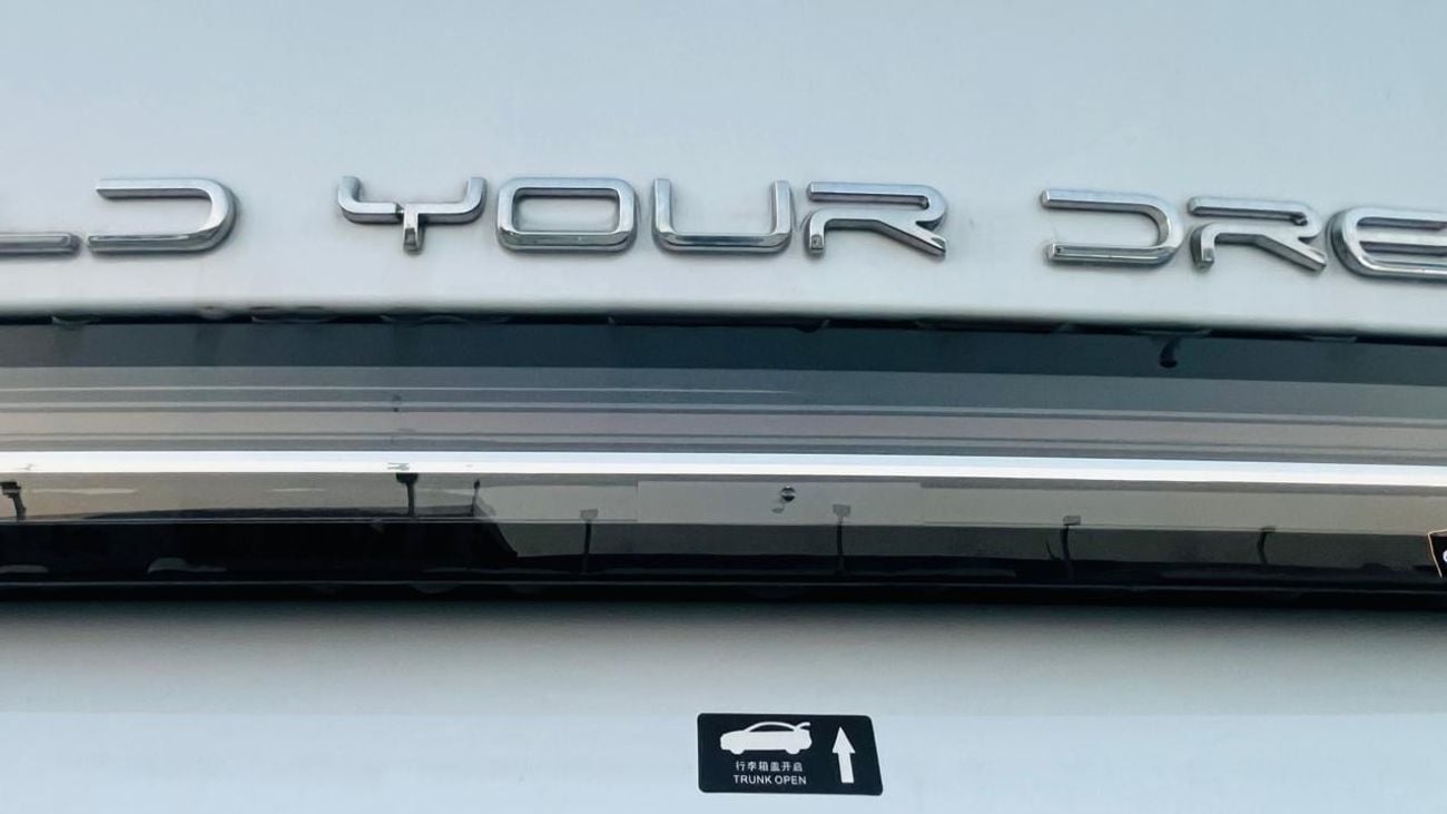 BYD Destroyer 05 STANDARD