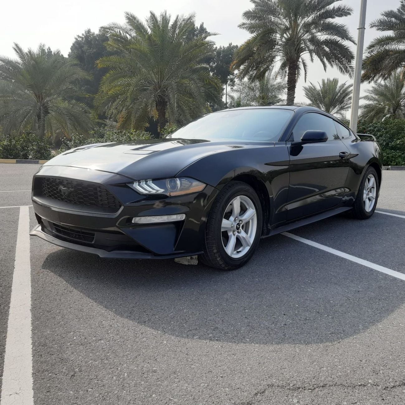 Ford Mustang EcoBoost Premium