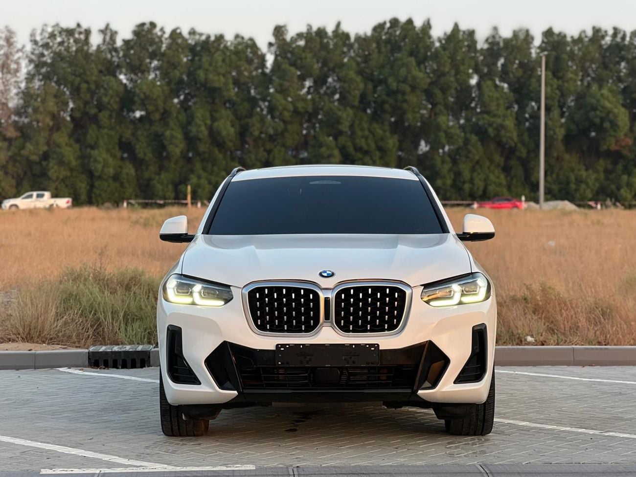 BMW X4 XDRIVE 30I M SPORT
