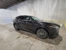 Lexus RX350h PLATINUM HYBRID