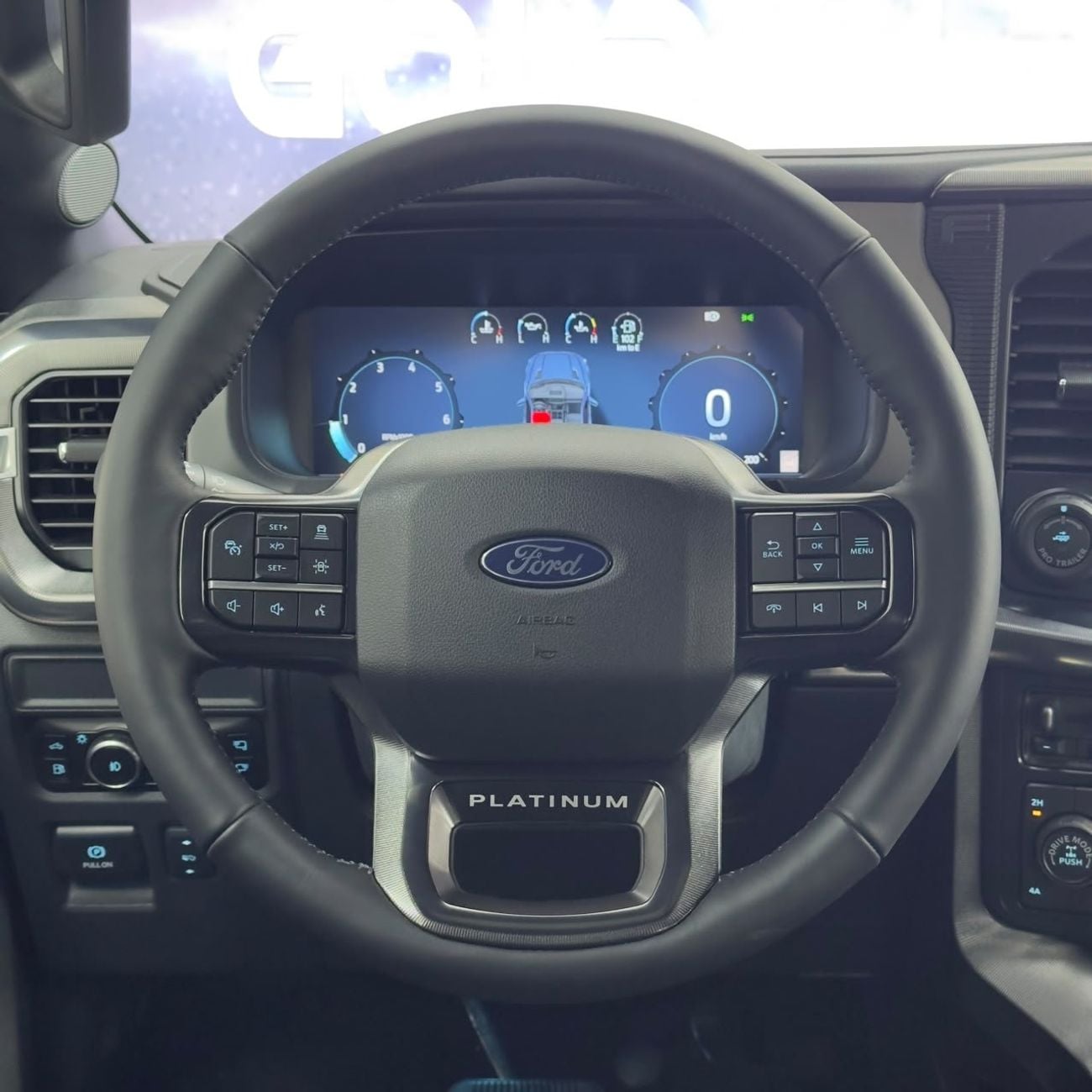 Ford F-150 PLATINUM CREW CAB