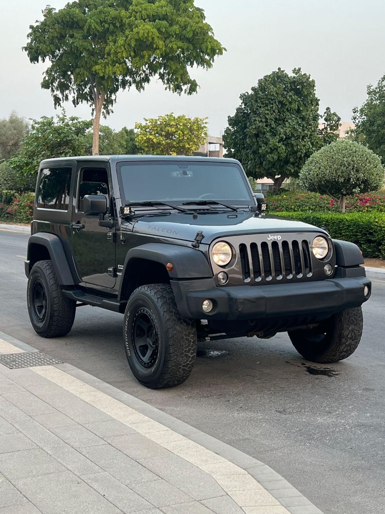 Jeep Wrangler FALCON EDITION EXECUTIVE 3.6L A/T