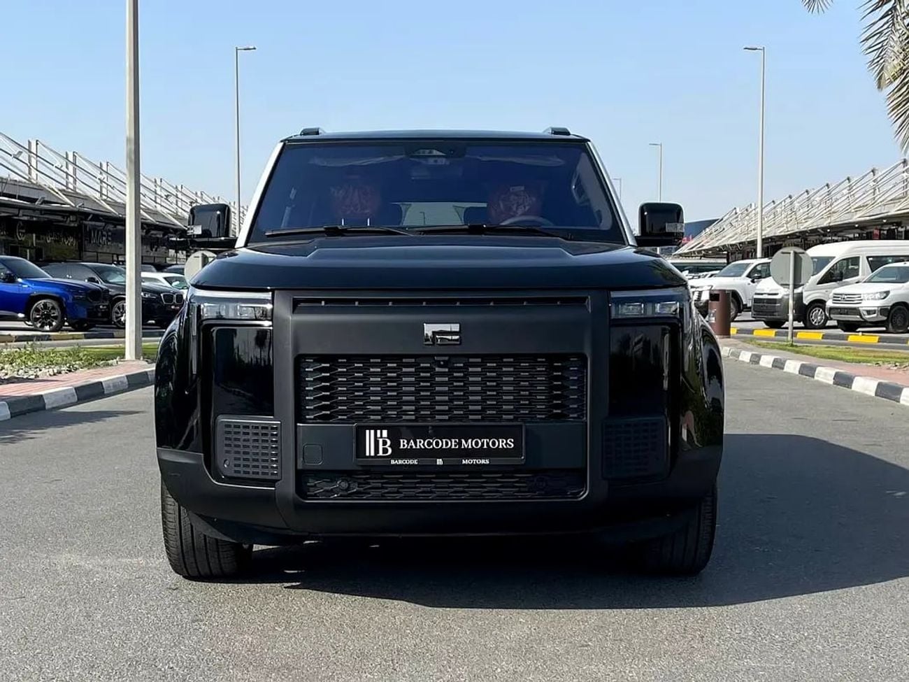 ROX 01 VIP / 6 SEATS VIP / / BIG BATTERY / WARRANTY AND CONTRACT SERVICE EVS