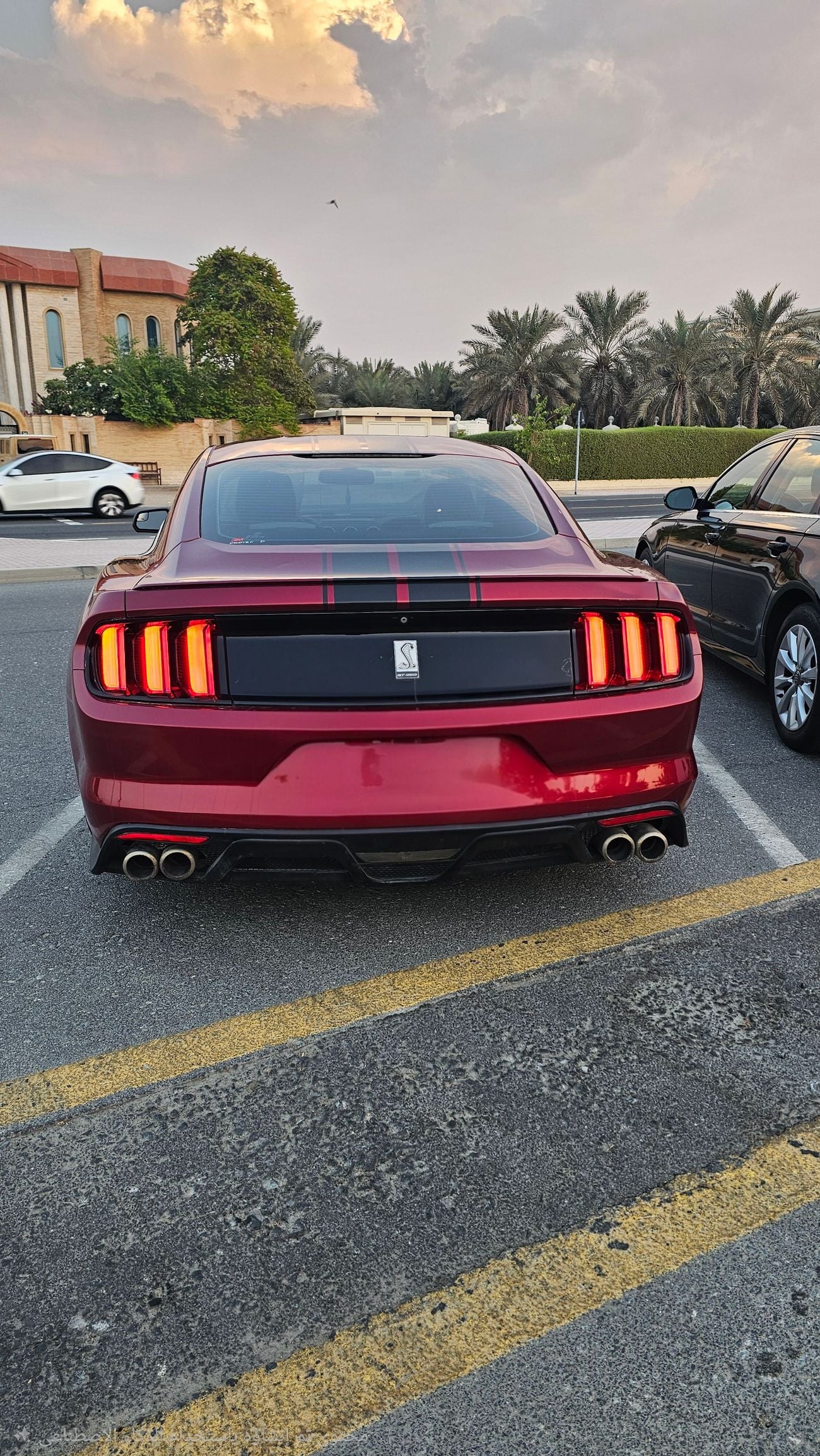 Ford Mustang STANDARD