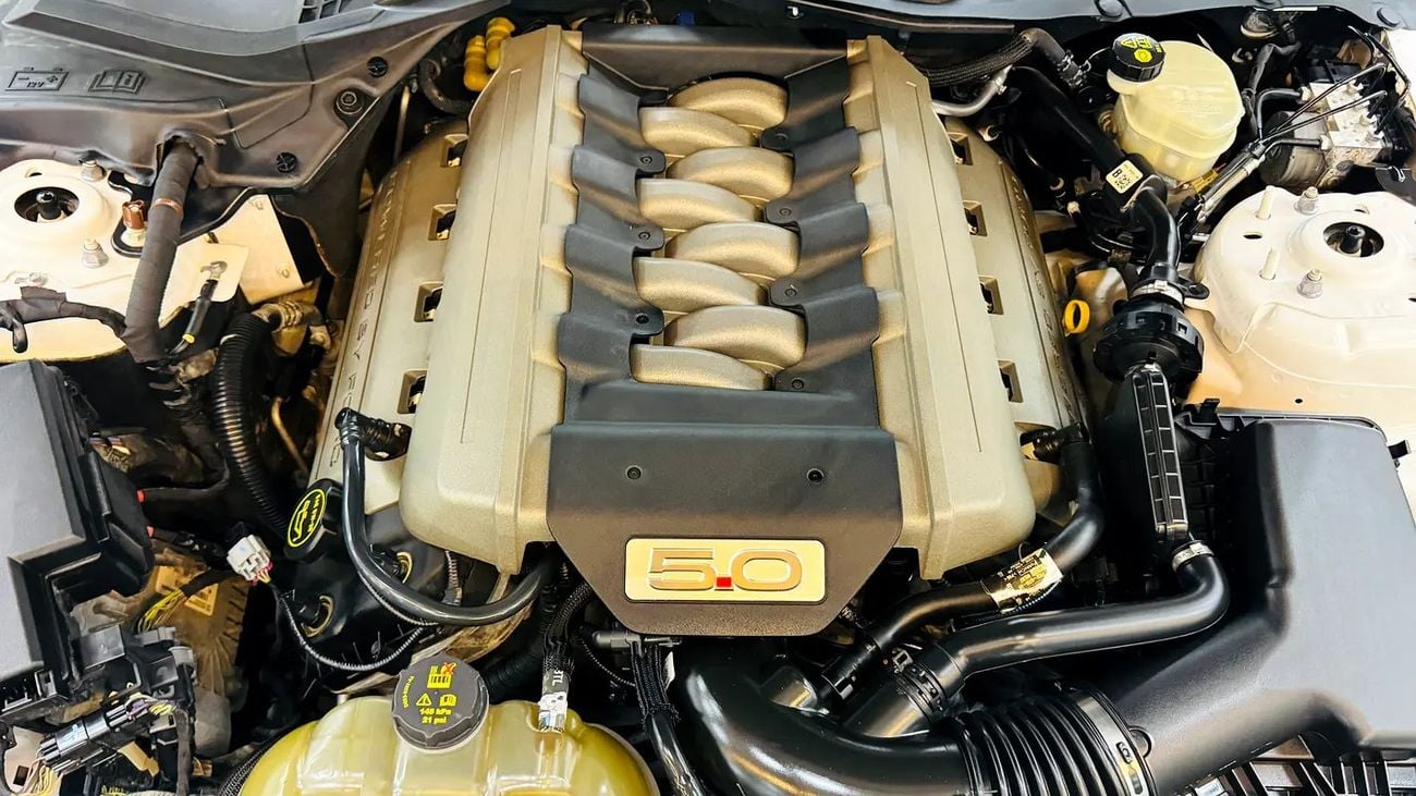 فورد موستانج GT GCC Specs Manual Transmission