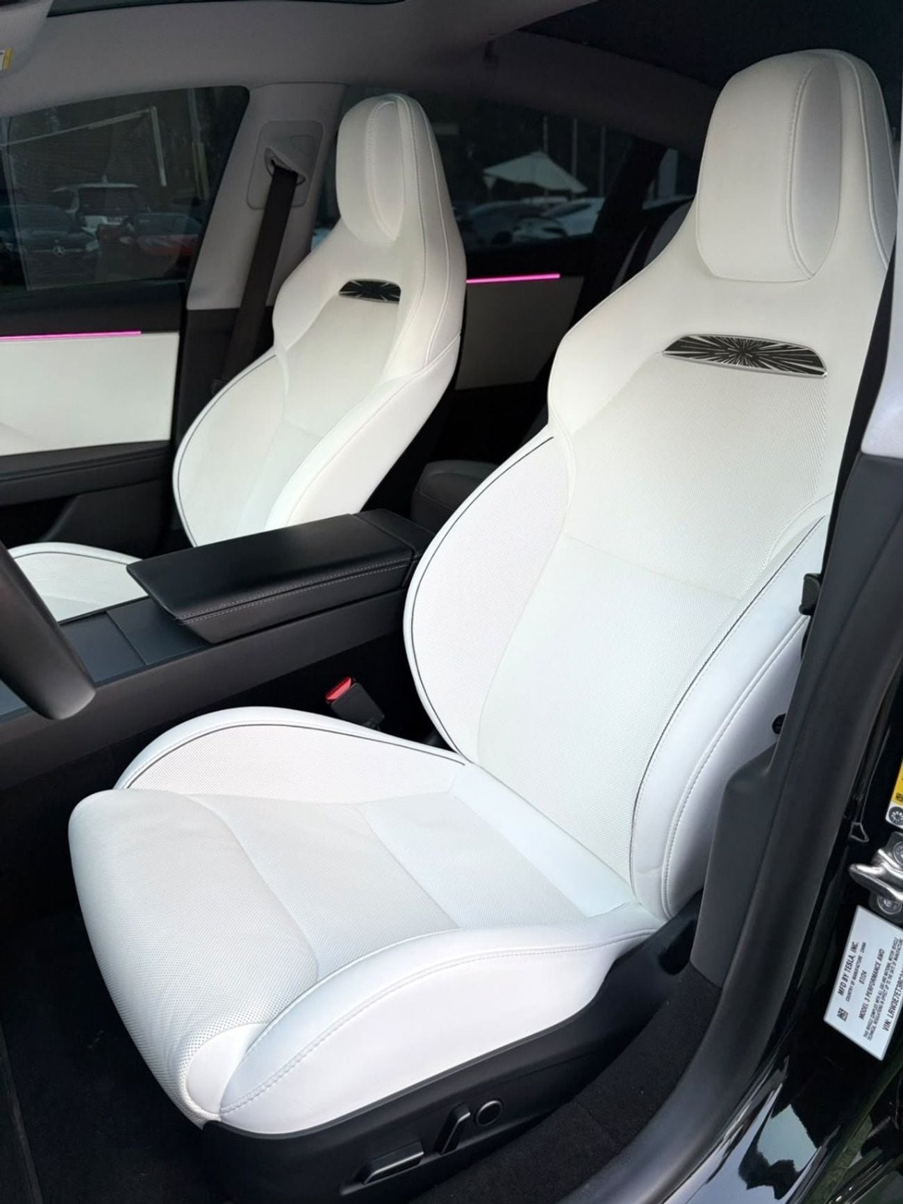 Tesla Model 3 PERFORMANCE