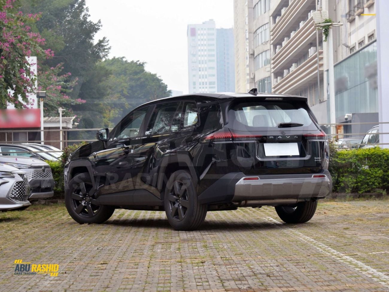 Toyota RAV4 LUXURY HEV