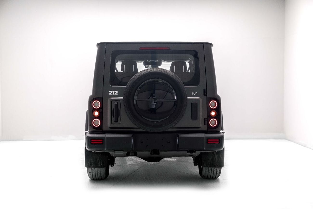 BAW 212 2.0L - GREY INISDE BLACK | EXPORT ONLY