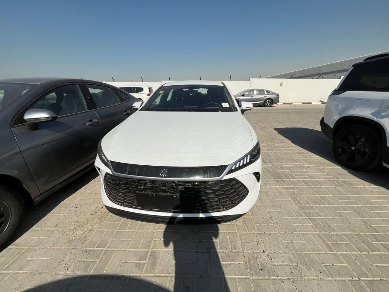 BYD QIN PLUS STANDARD