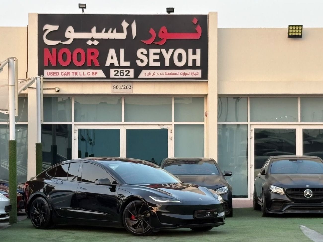 Tesla Model 3 PERFORMANCE
