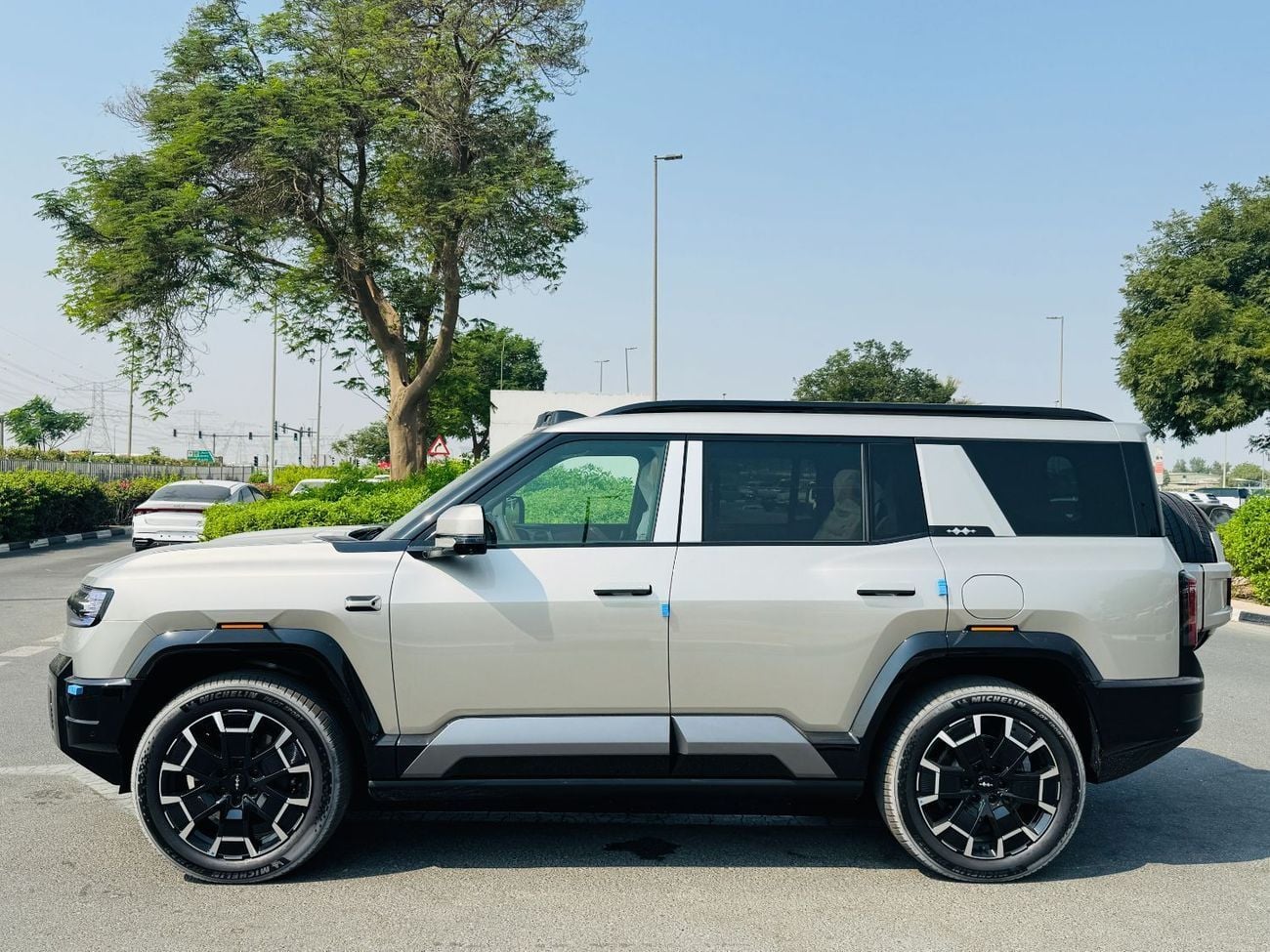 بي واي دي ليوبارد 8 DELUX (6 Seats)