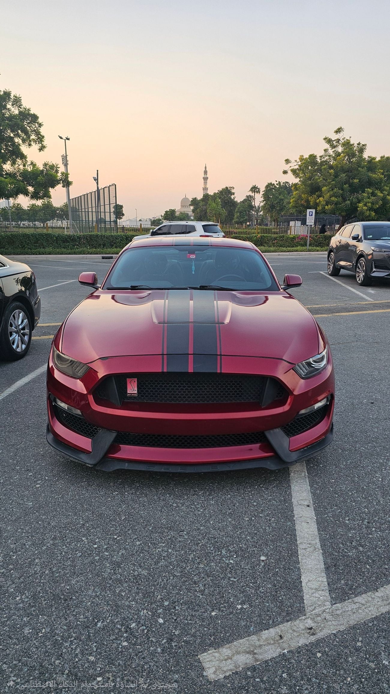 Ford Mustang STANDARD