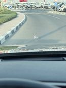 Hyundai Palisade Calligraphy 3.8L panoramic, 360 cameras full option