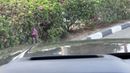 Land Rover Range Rover HSE Land Rover Range Rover 2022 HSE P530 V8 GCC Specs Original paint no accident