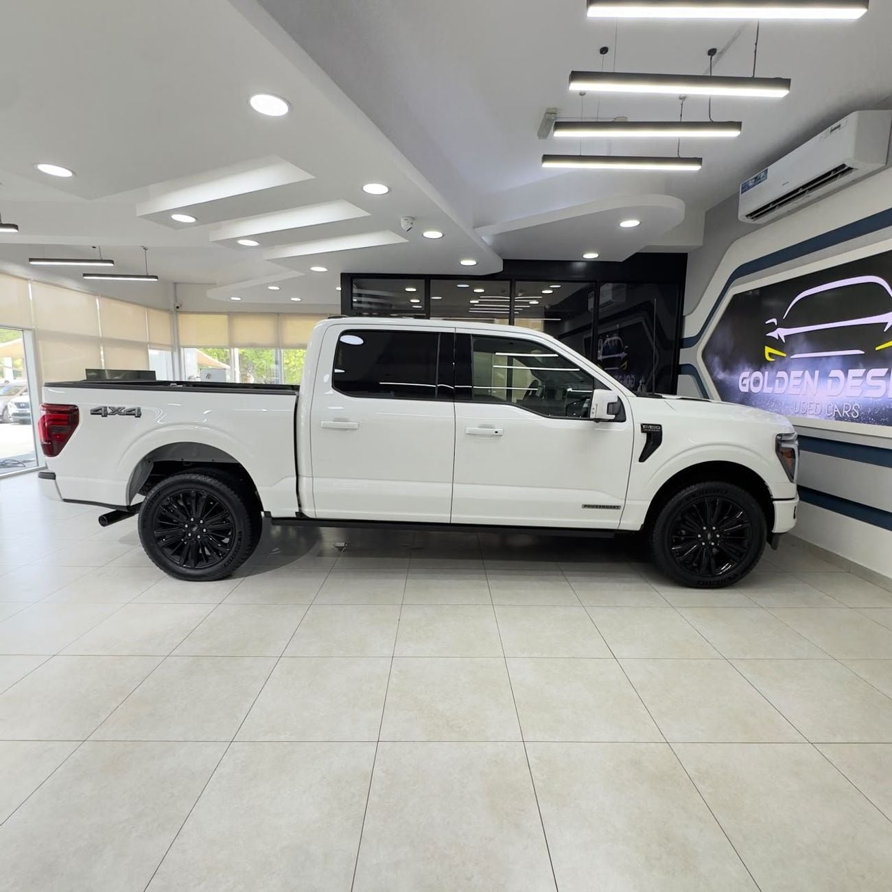 Ford F-150 PLATINUM CREW CAB