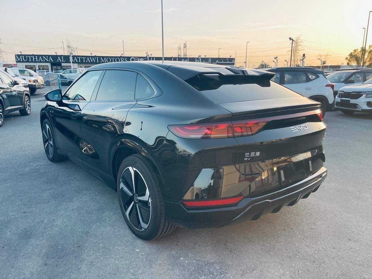 بي واي دي سونغ ل STANDARD