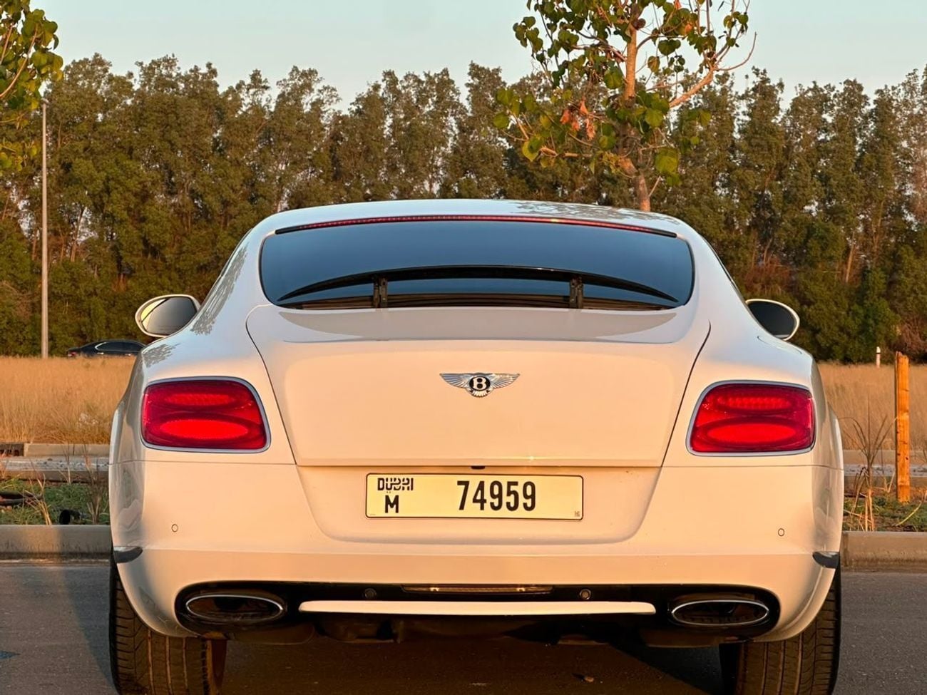 Bentley Continental GT SPEED BENTLY CONTINENAL V12 // MODEL:2014 // ORGINAL PAINT // ACCIDENT FREE // FSH // PERFE