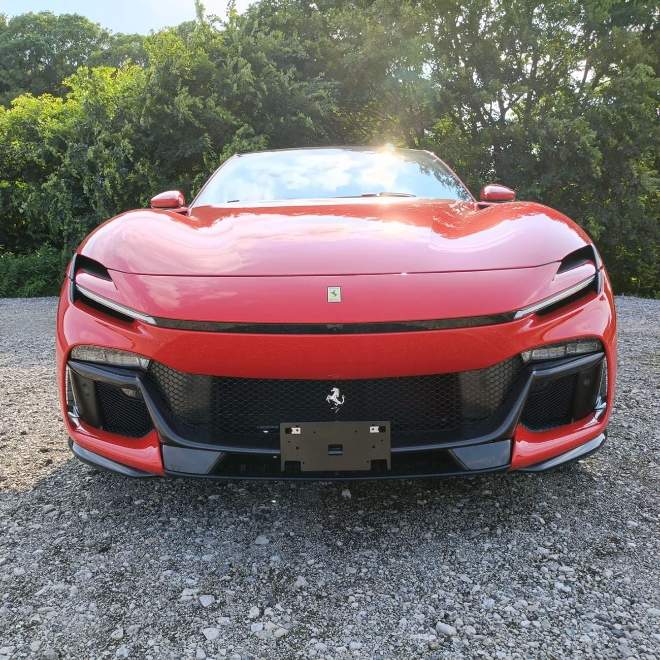 Ferrari Purosangue STANDARD 6.5 V12 715HP Tailor made Verde Dora Export Price