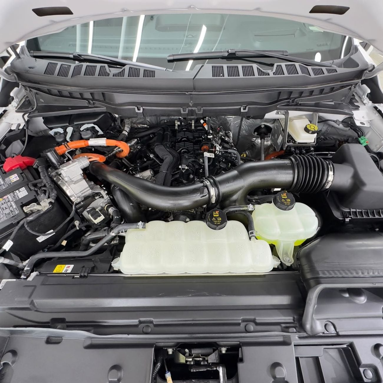 Ford F-150 PLATINUM CREW CAB