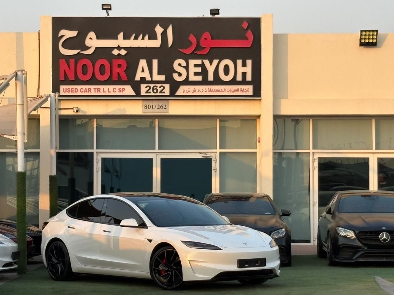 Tesla Model 3 PERFORMANCE