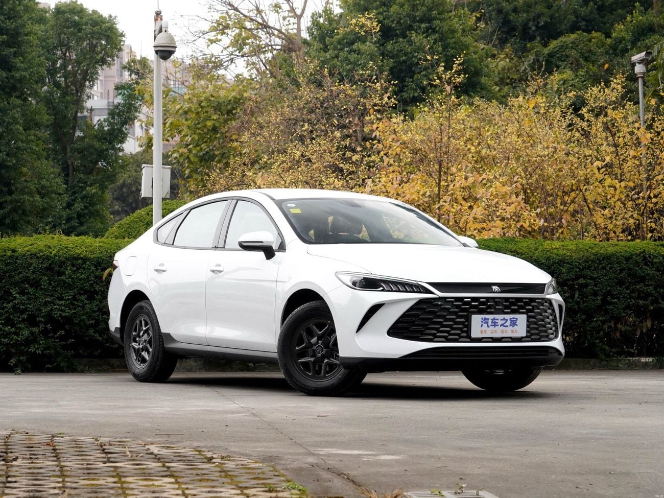 بي واي دي كين بلاس ستاندارد خيار BYD Qin plus النشط بمدى 128 كم