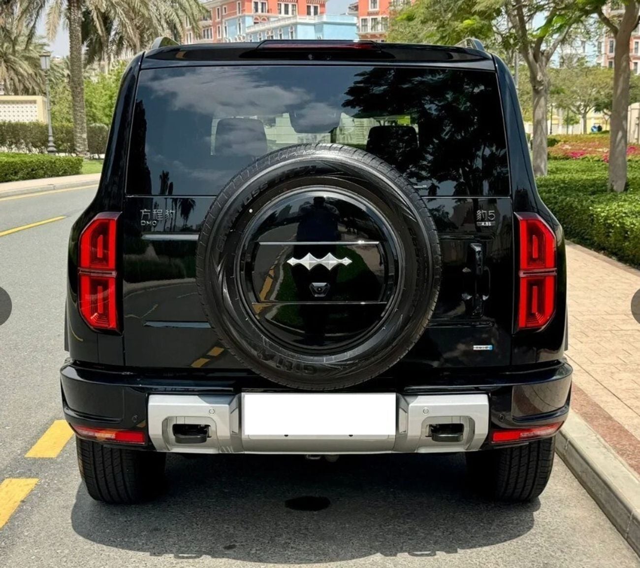 بي واي دي ليوبارد 5 ستاندارد Standard