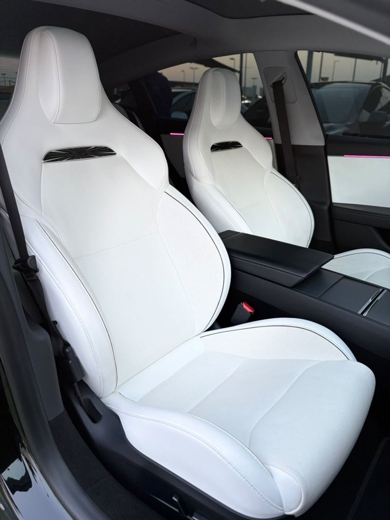 Tesla Model 3 PERFORMANCE
