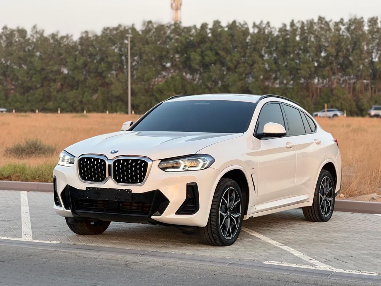 BMW X4 XDRIVE 30I M SPORT