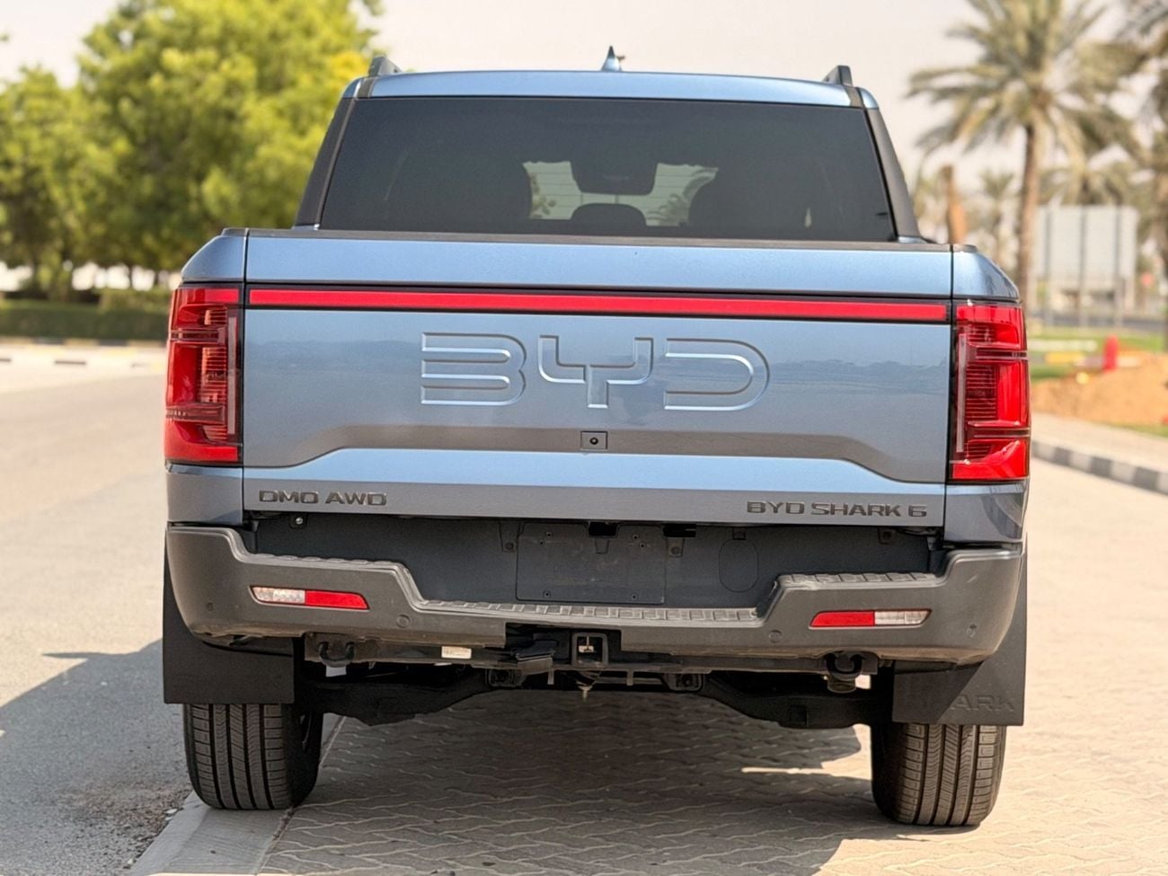 BYD Shark 6