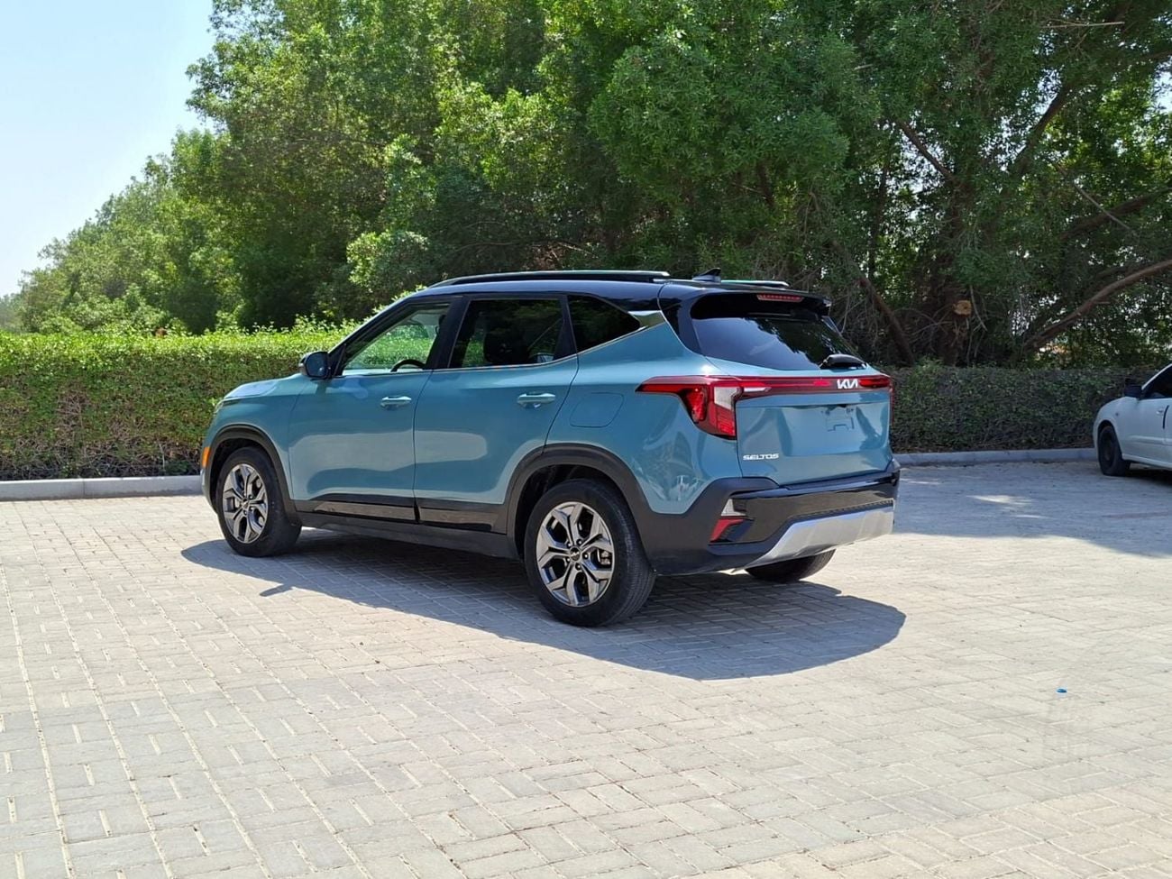 Kia Seltos EX