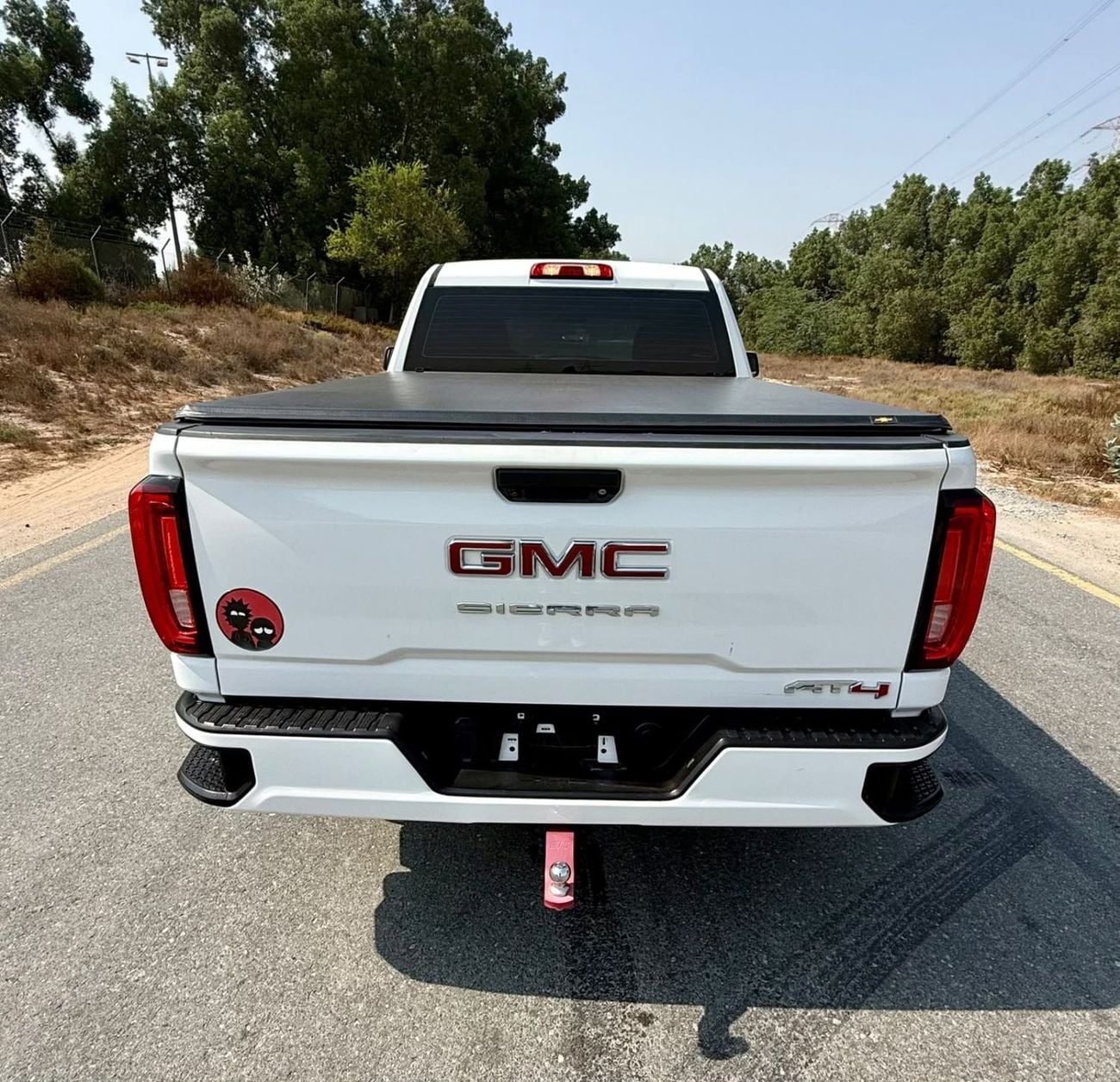 GMC Sierra 1500 REG/CAB AT4