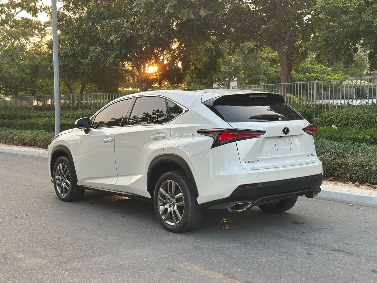 Lexus NX300 PLATINUM