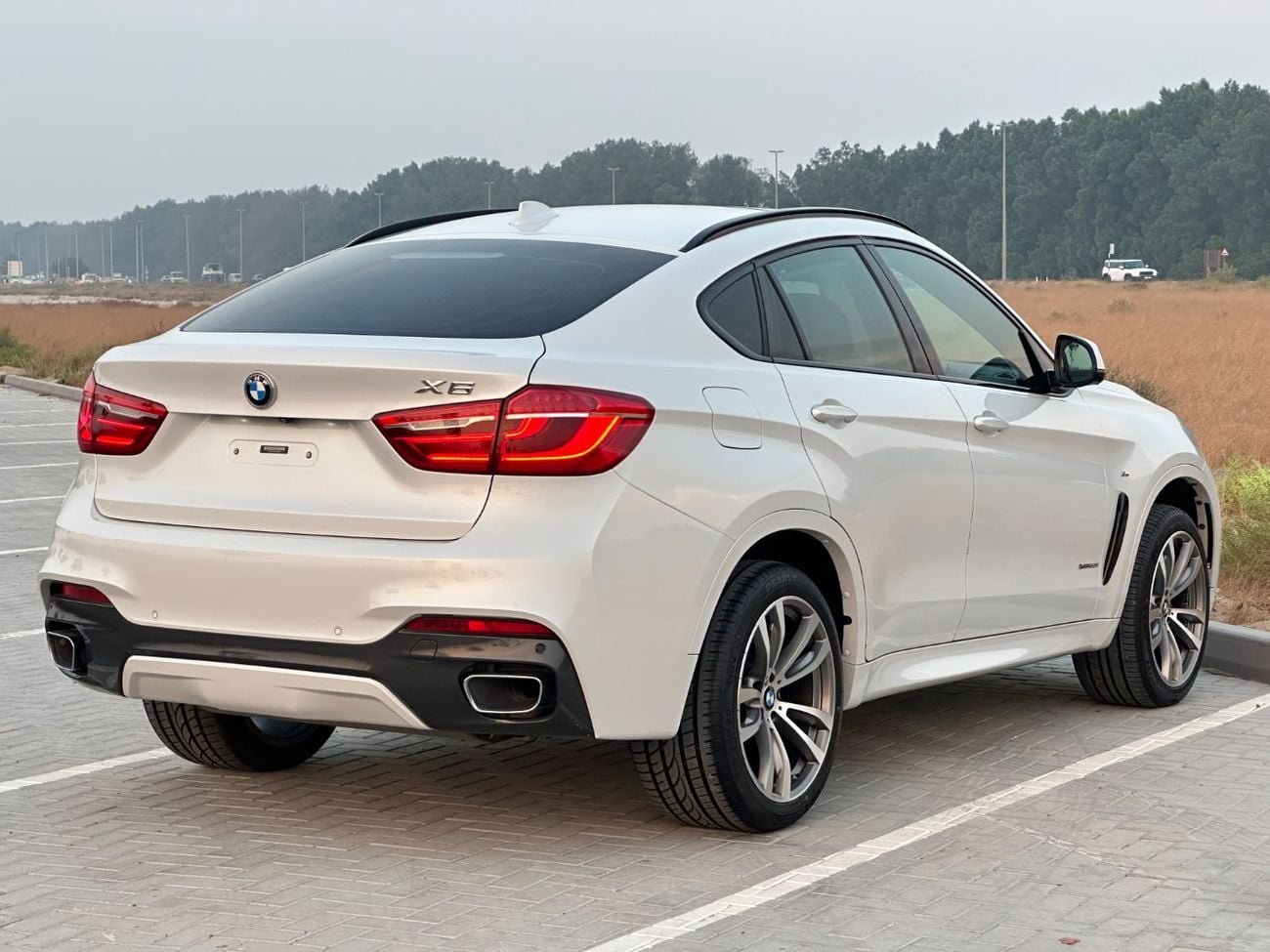 BMW X6 XDRIVE 35i