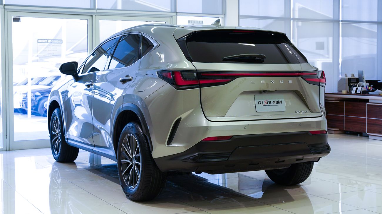 Lexus NX250