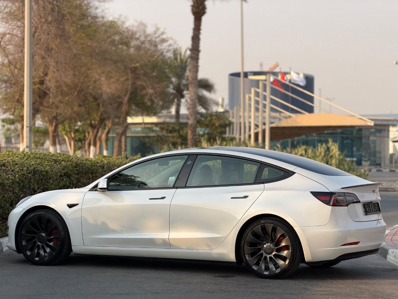 Tesla Model 3 PERFORMANCE